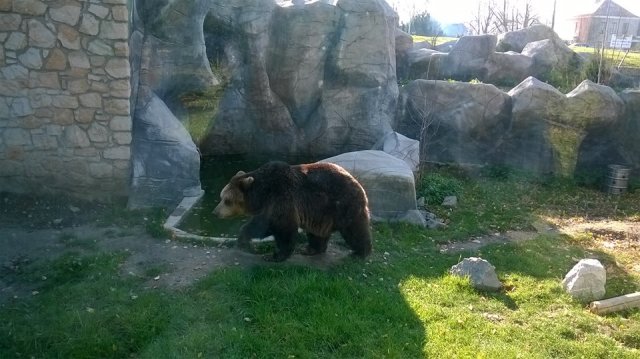 zoo 27